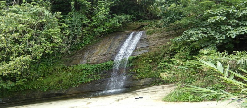 Cover Photo