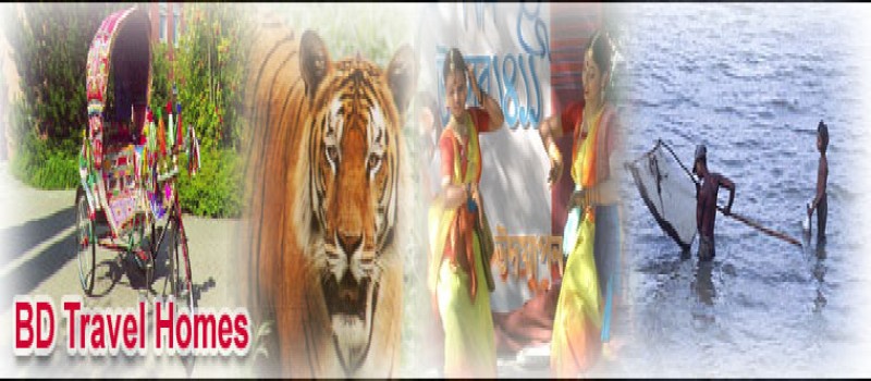 Cover Photo