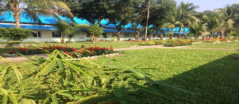 Cover Photo