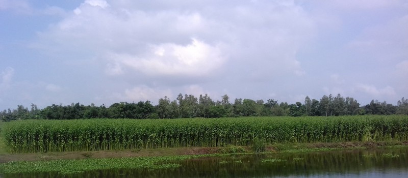 Cover Photo