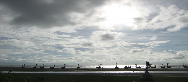 Cover Photo