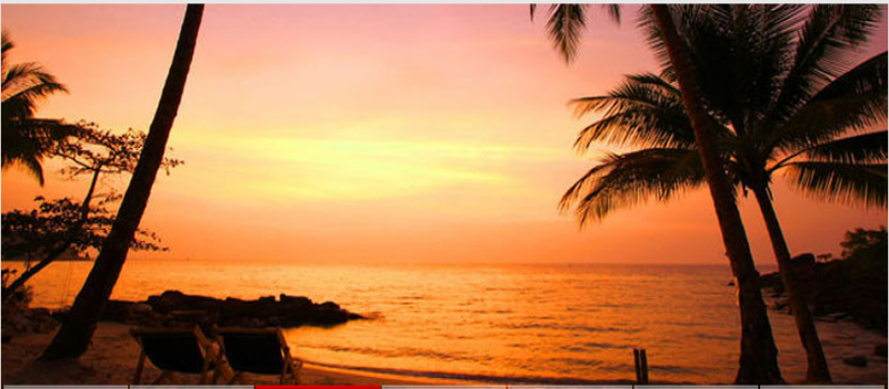 Cover Photo
