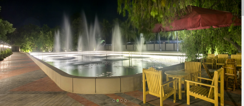 Cover Photo