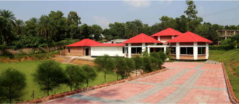 Cover Photo