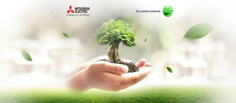 Cover Photo