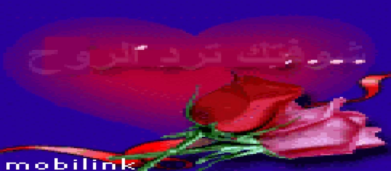 Cover Photo