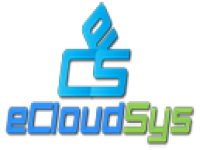 Enterprise Cloud Systems