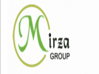 Mirza Engineering and Consultancy Limited