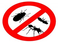 Robinson Insects Killing "Pest Control" Service