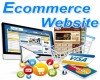 E-commerce Website with Stock Inventory Software