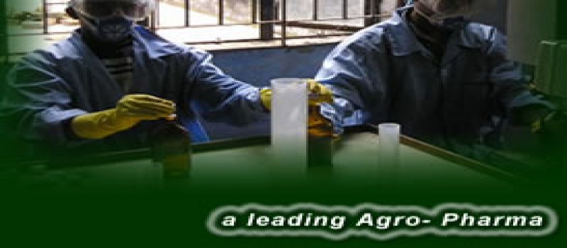 Cover Photo