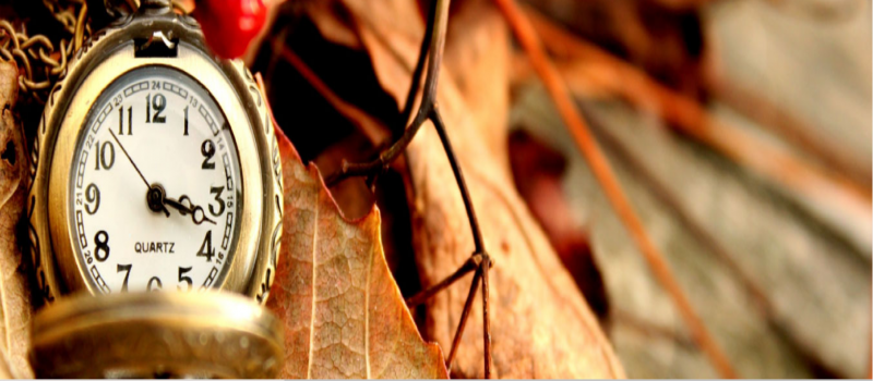 Cover Photo