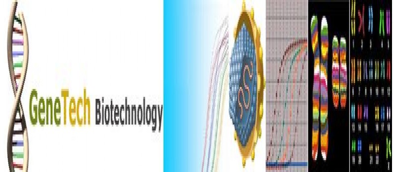Cover Photo