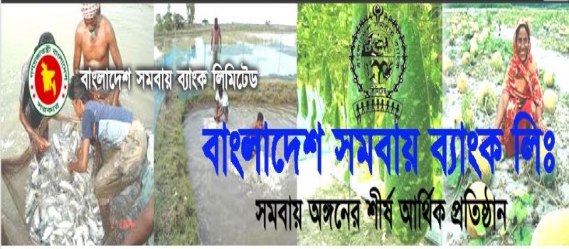 Cover Photo