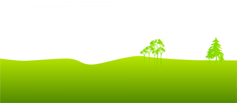 Cover Photo