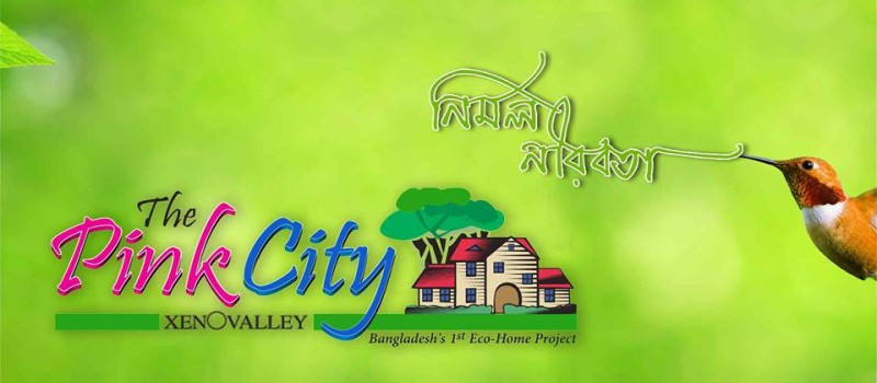 Cover Photo