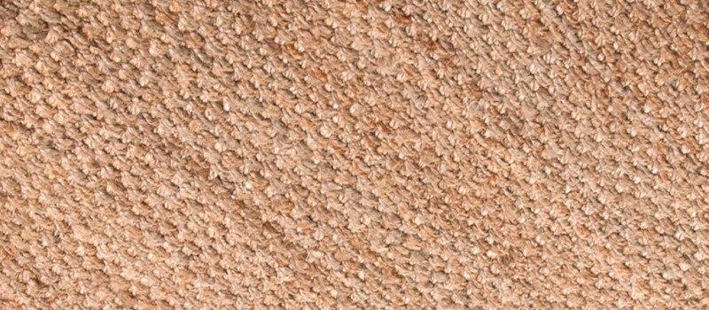 Cover Photo
