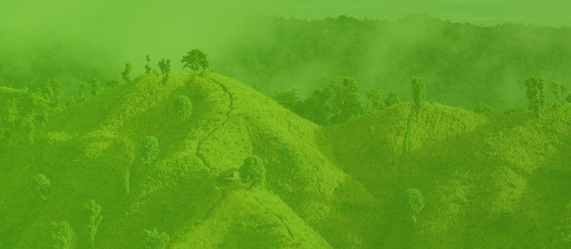 Cover Photo