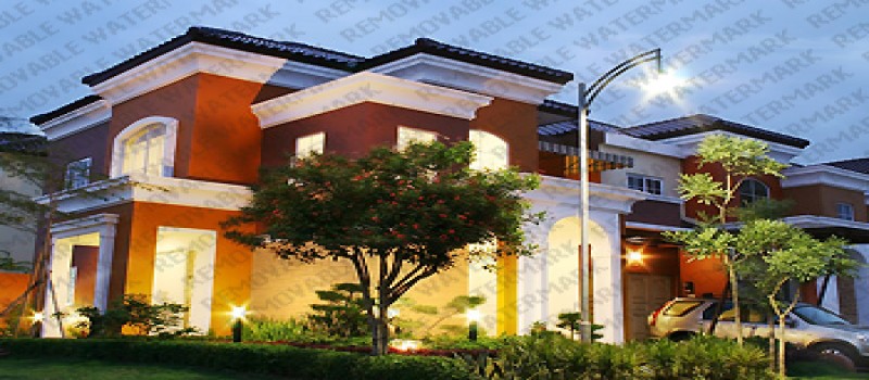 Cover Photo