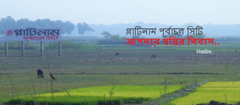 Cover Photo