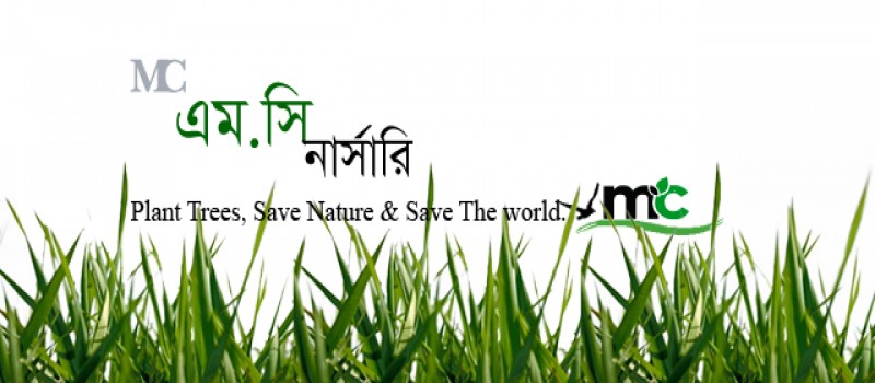 Cover Photo