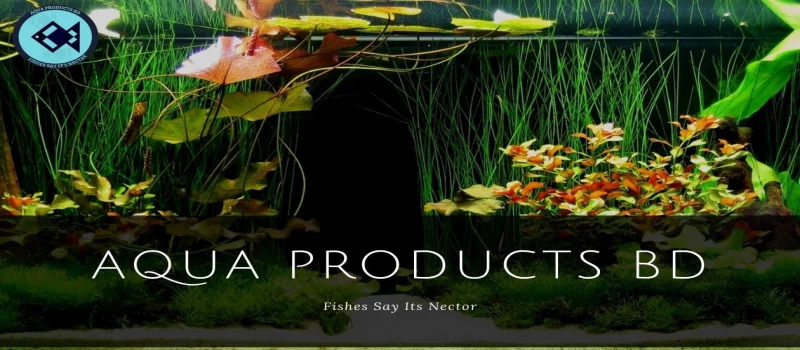 Cover Photo
