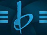 B G Interactive Limited