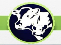 total dairy