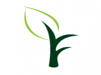 Khaas Food Limited