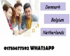Study In Europe