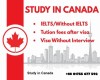 Study In Canada