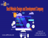 Best web design and development company - soft it care