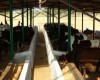 Dairy Farm / Agro / Fishery Management Software
