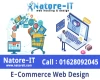 E-commerce web Design